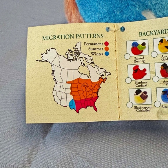 SINGING BIRD, PLAYS REAL BIRD CALLS, EASTERN BLUEBIRD, 6 L x 4 ½ W x 4 ¾ H INCH - Picture 10 of 16